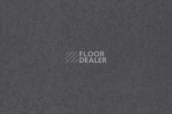Линолеум FORBO De Luxe 2783-3113 dark neutral grey фото 1 | FLOORDEALER